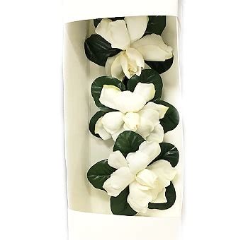 gardenia sdn gift box.